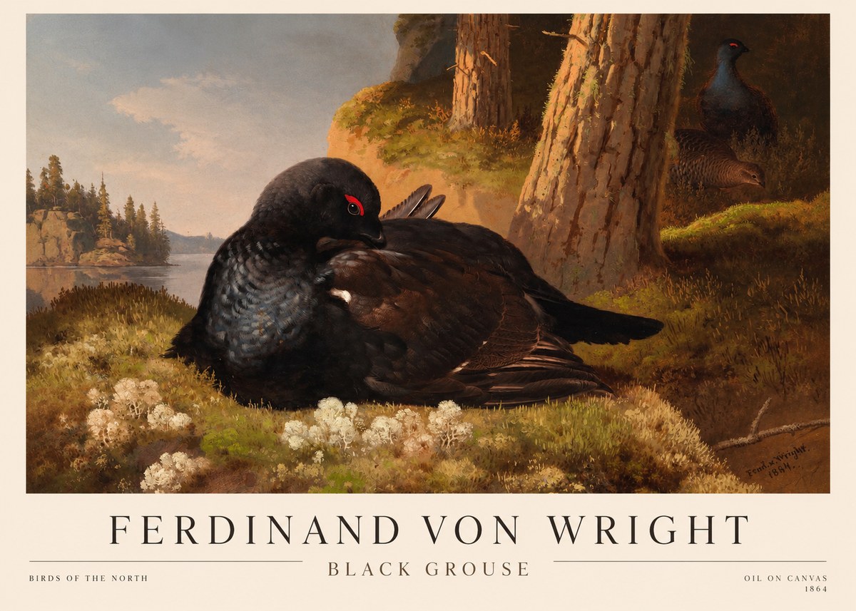 Ferdinand von Wright The Black Grouse No3 - Affiche