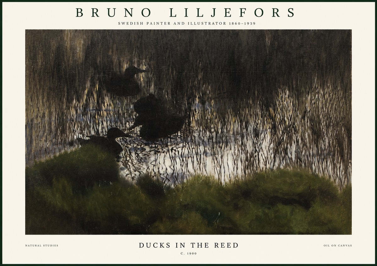 Bruno Liljefors Ducks in the Reed No1 - Affiche
