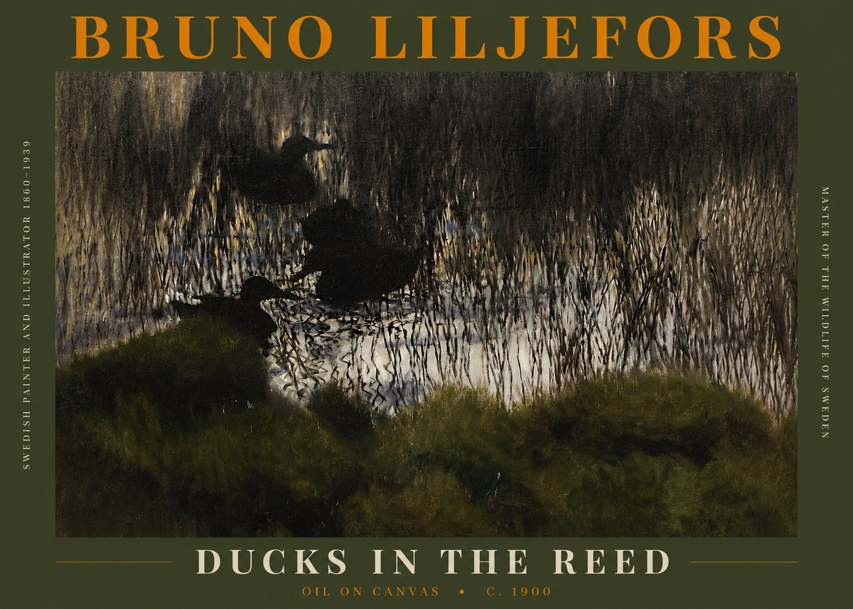 Bruno Liljefors Ducks in the Reed No3 - Affiche