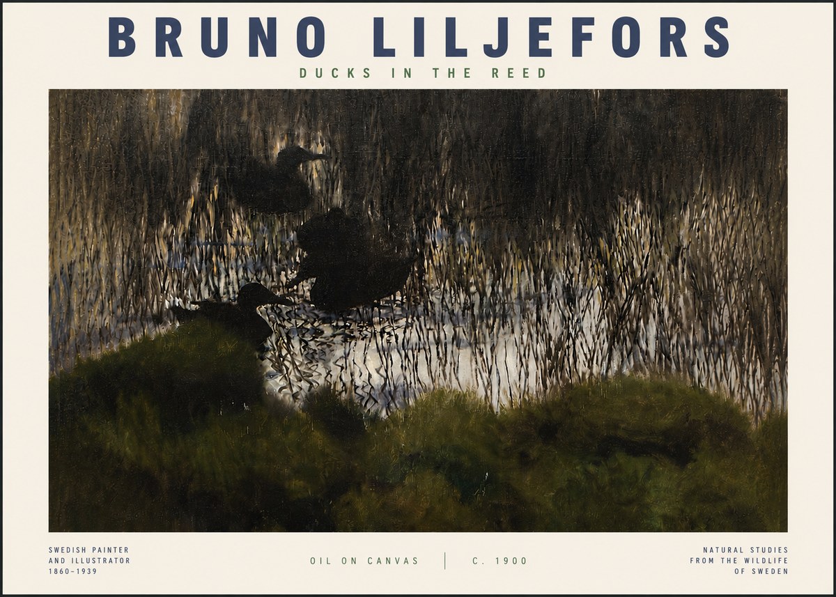 Bruno Liljefors Ducks in the Reed No4 - Affiche