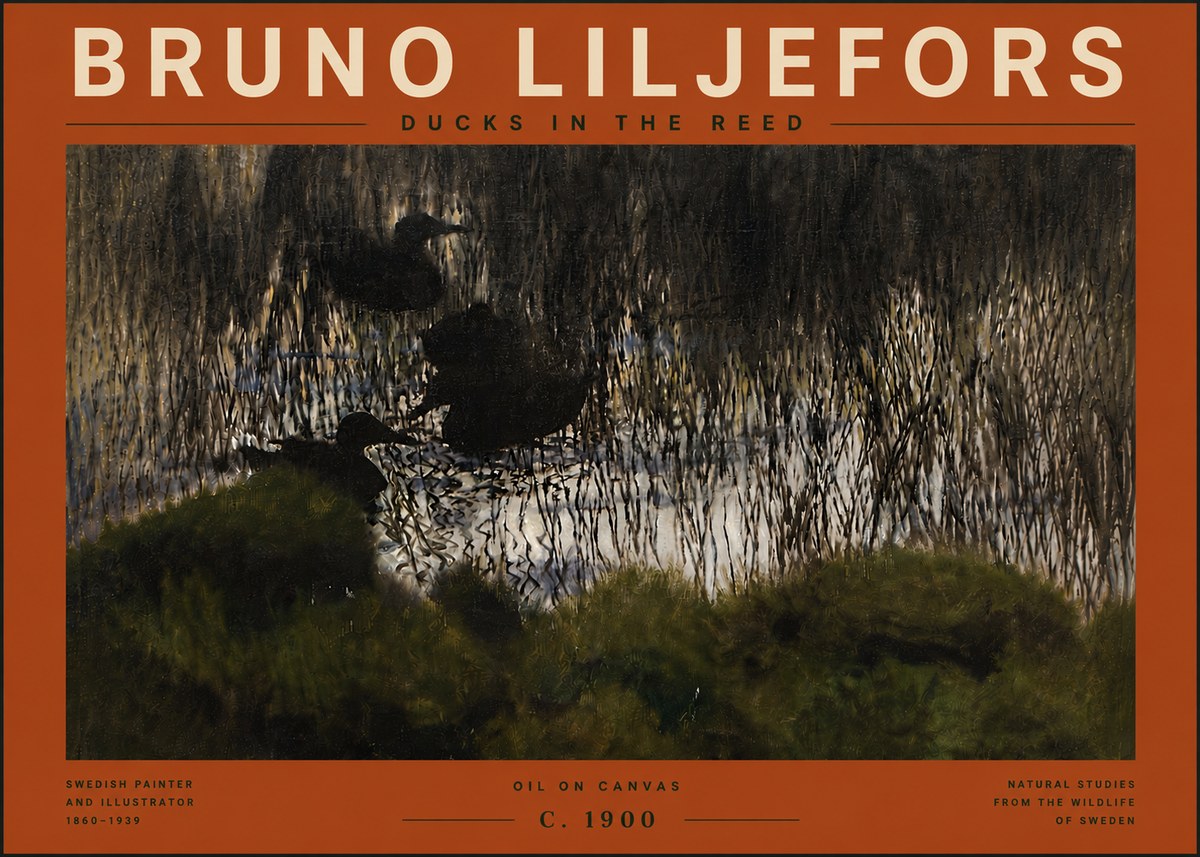 Bruno Liljefors Ducks in the Reed No6 - Affiche