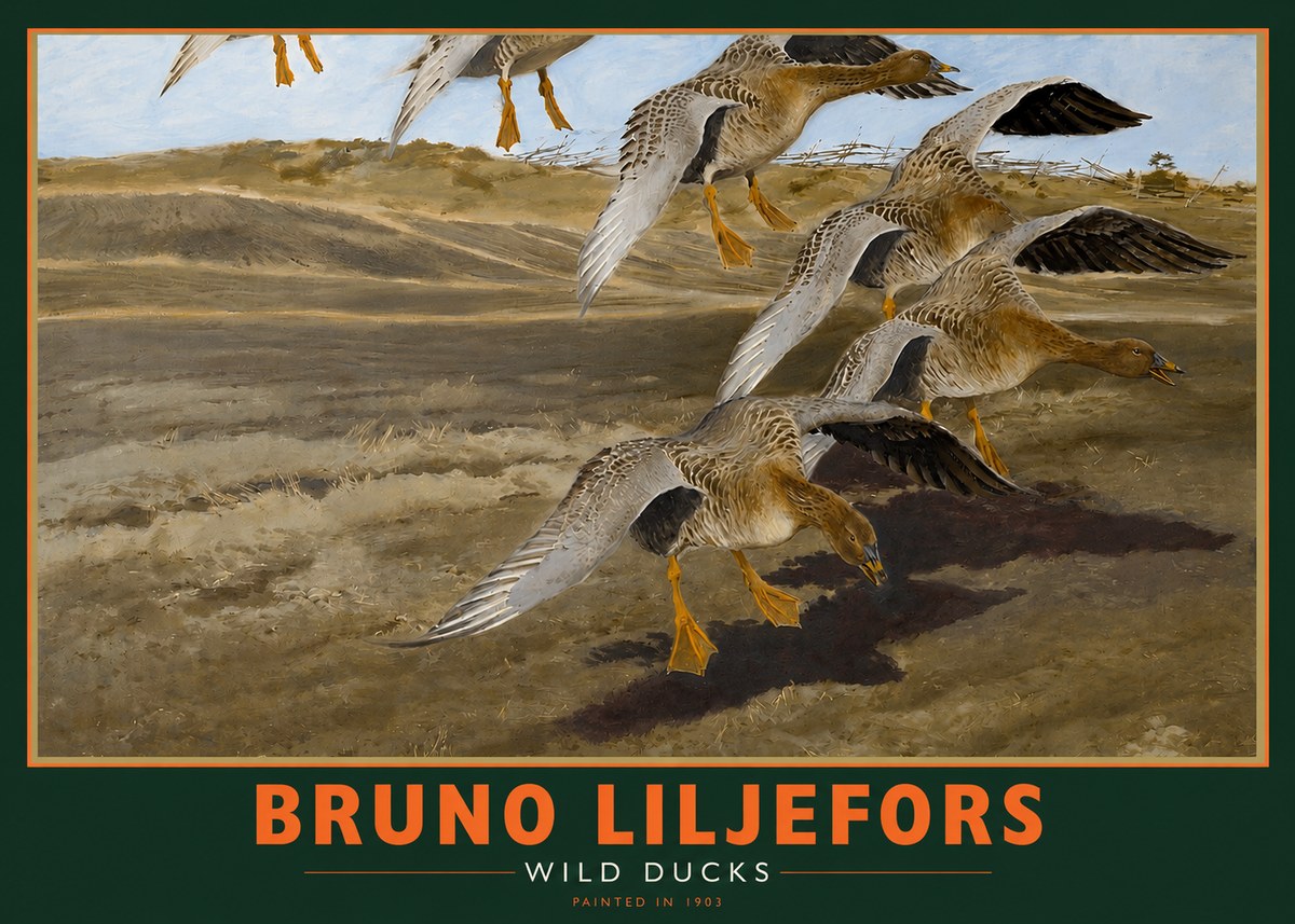 Bruno Liljefors Wild Ducks I No2 - Affiche
