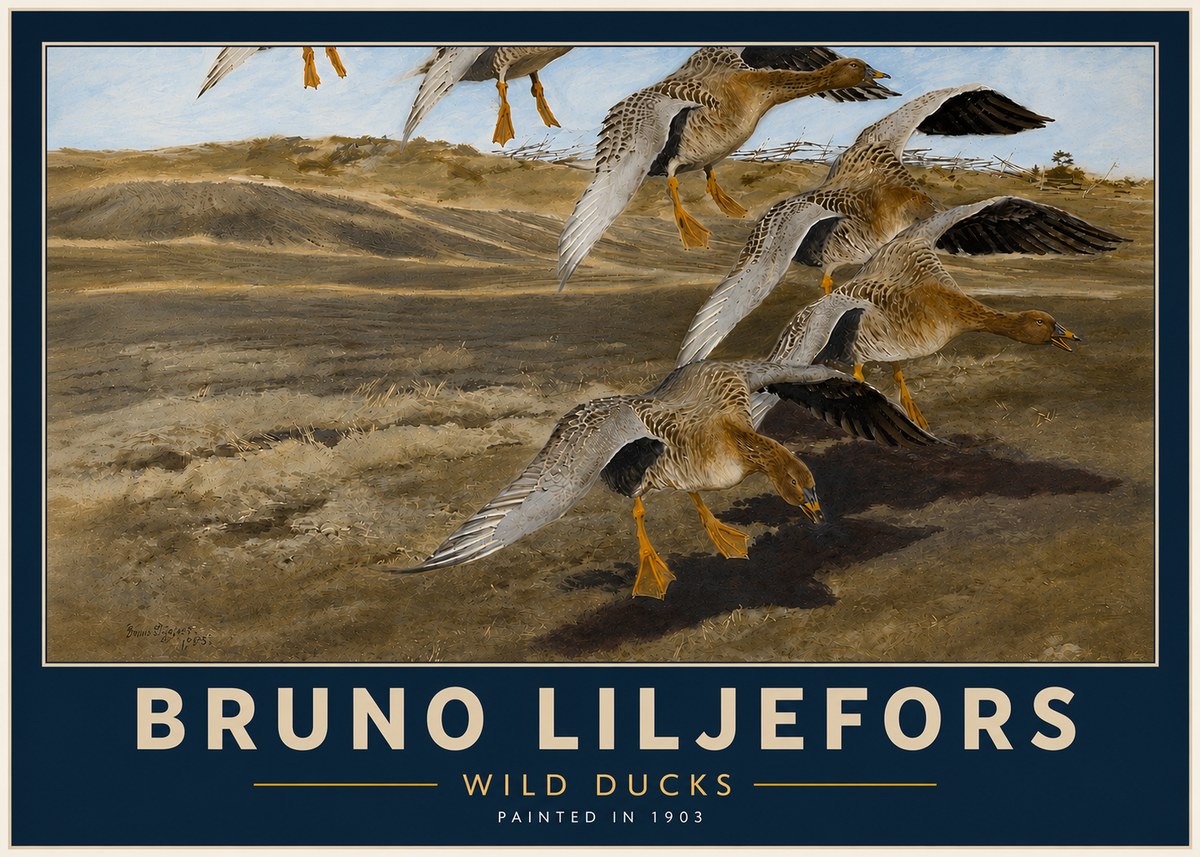 Bruno Liljefors Wild Ducks I No4 - Affiche