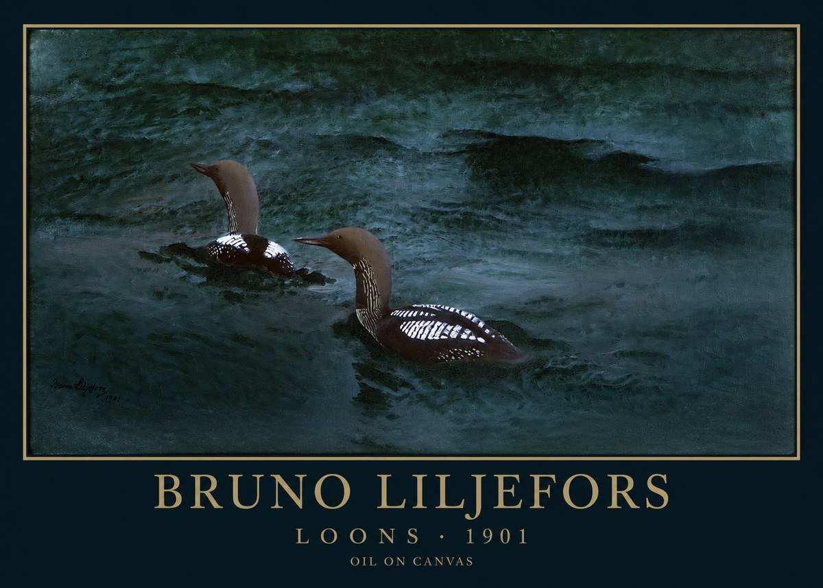 Bruno Liljefors Loons · 1901 No1 - Affiche