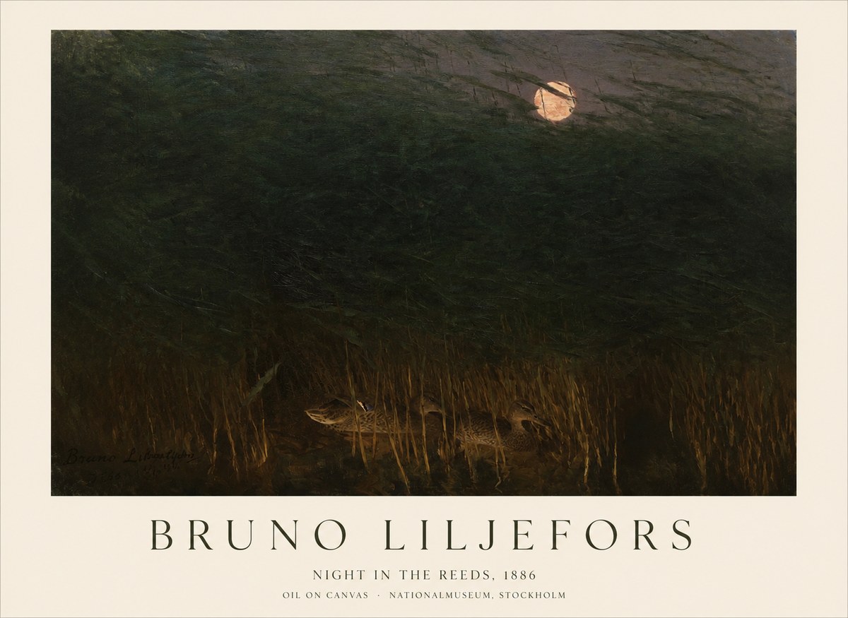Bruno Liljefors Night in the Reeds No1 - Affiche