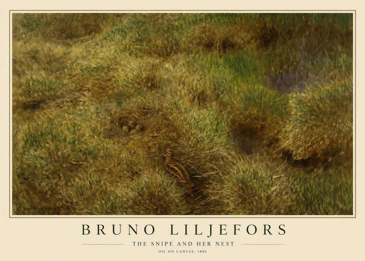 Bruno Liljefors The Snipe and Her Nest No1 - Affiche