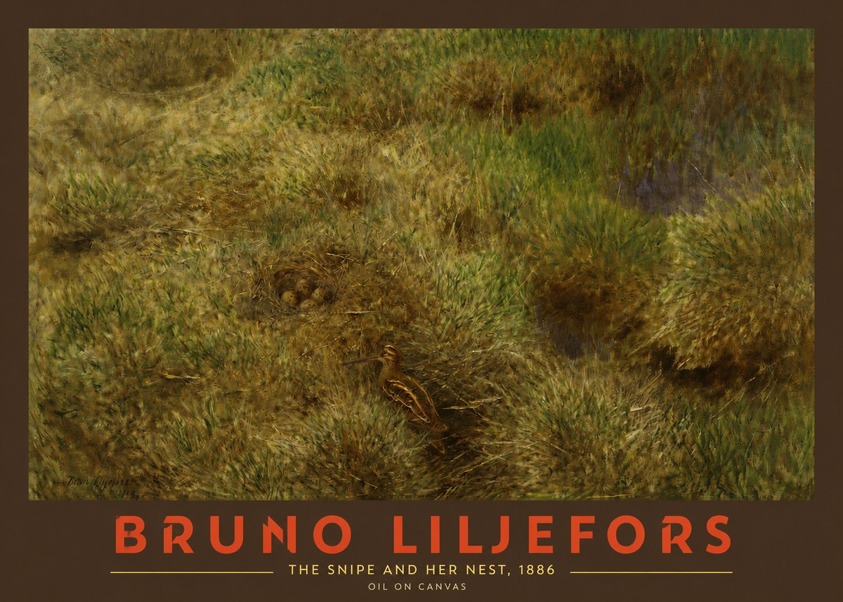 Bruno Liljefors The Snipe and Her Nest No2 - Affiche