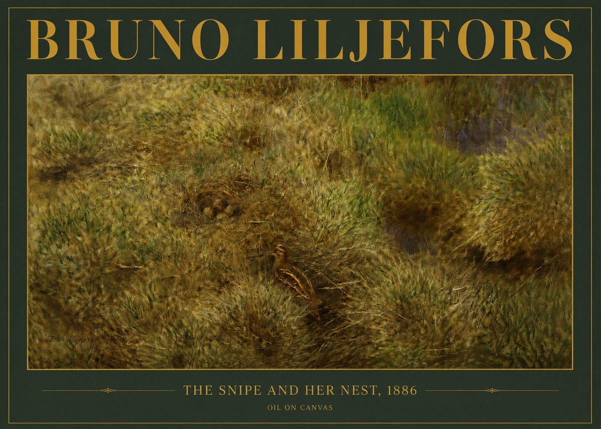 Bruno Liljefors The Snipe and Her Nest No4 - Affiche