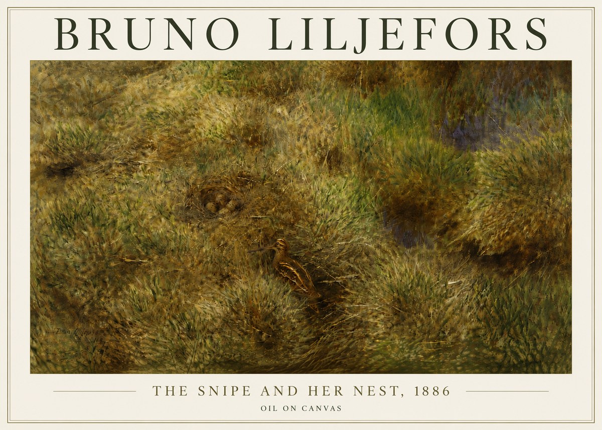 Bruno Liljefors The Snipe and Her Nest No5 - Affiche