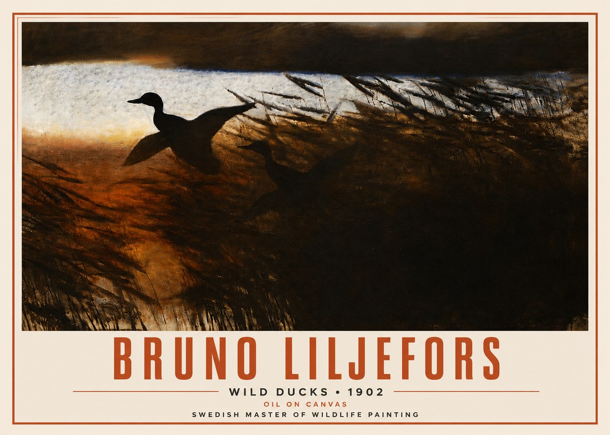 Bruno Liljefors Wild Ducks II No4 - Affiche