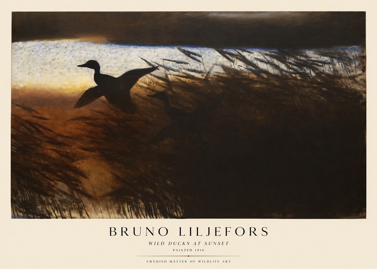 Bruno Liljefors Wild Ducks II No5 - Affiche