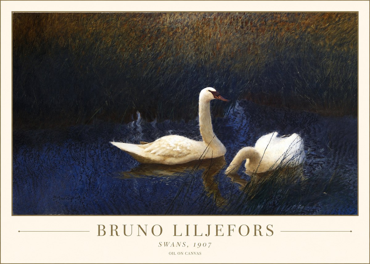 Bruno Liljefors Swans, 1907 No1 - Affiche