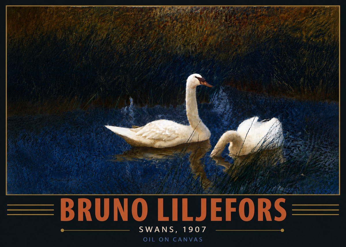 Bruno Liljefors Swans, 1907 No6 - Affiche