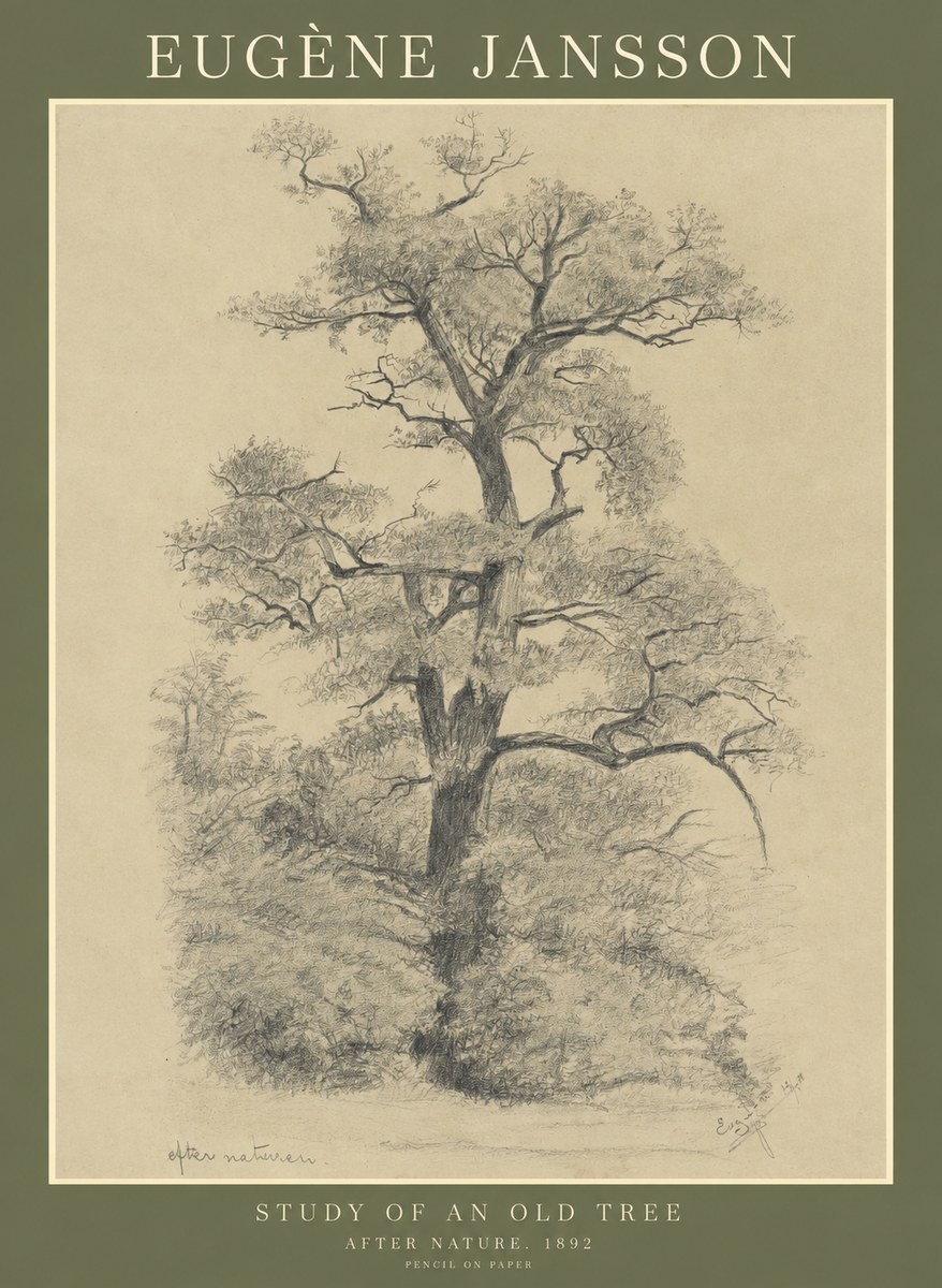 Eugène Jansson Study of an Old Tree No1 - Affiche