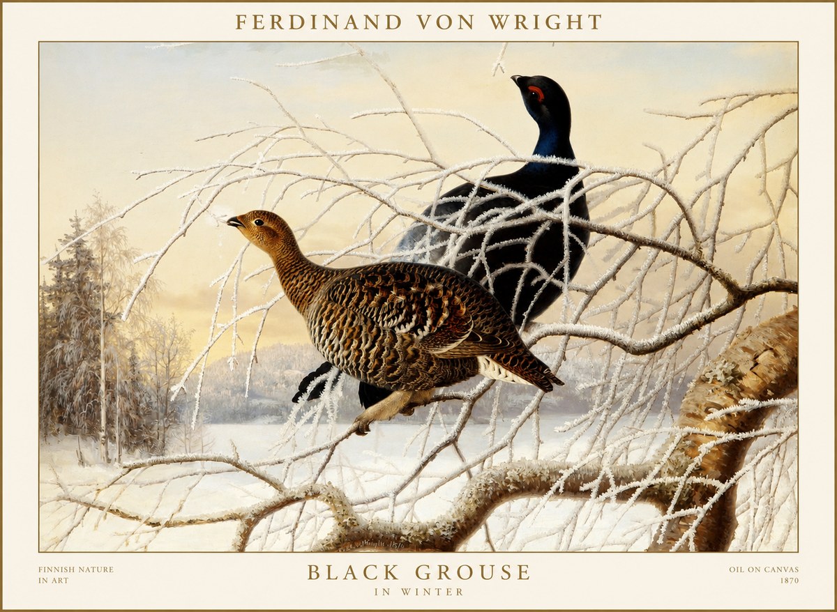 Ferdinand von Wright Black Grouse in Winter No1 - Affiche