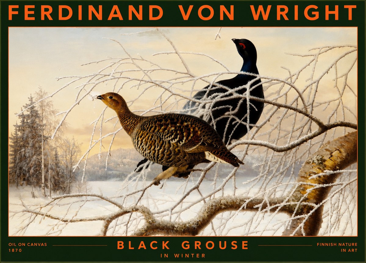 Ferdinand von Wright Black Grouse in Winter No2 - Affiche