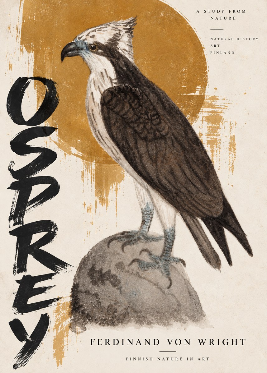 Ferdinand von Wright Osprey No5 - Affiche