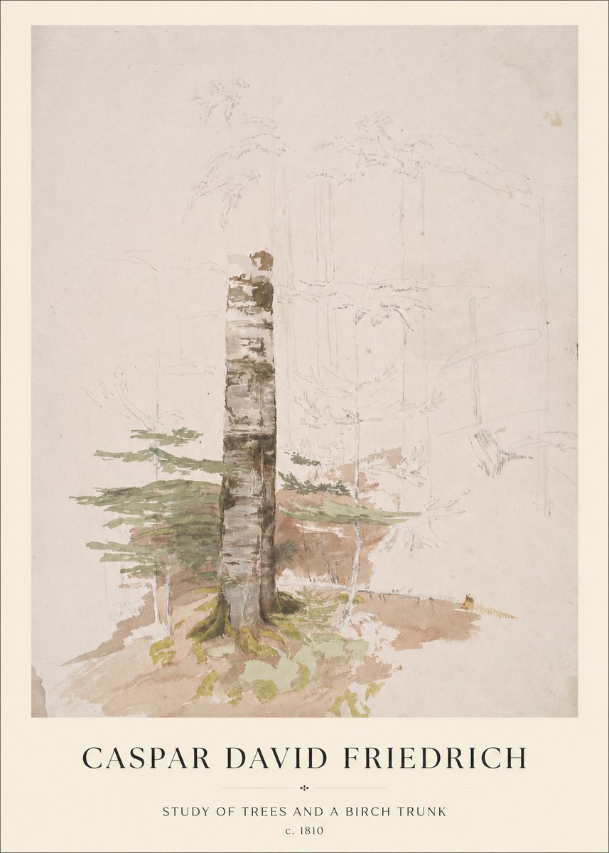 Caspar David Friedrich Study of Trees and a Birch Trunk No1 - Affiche