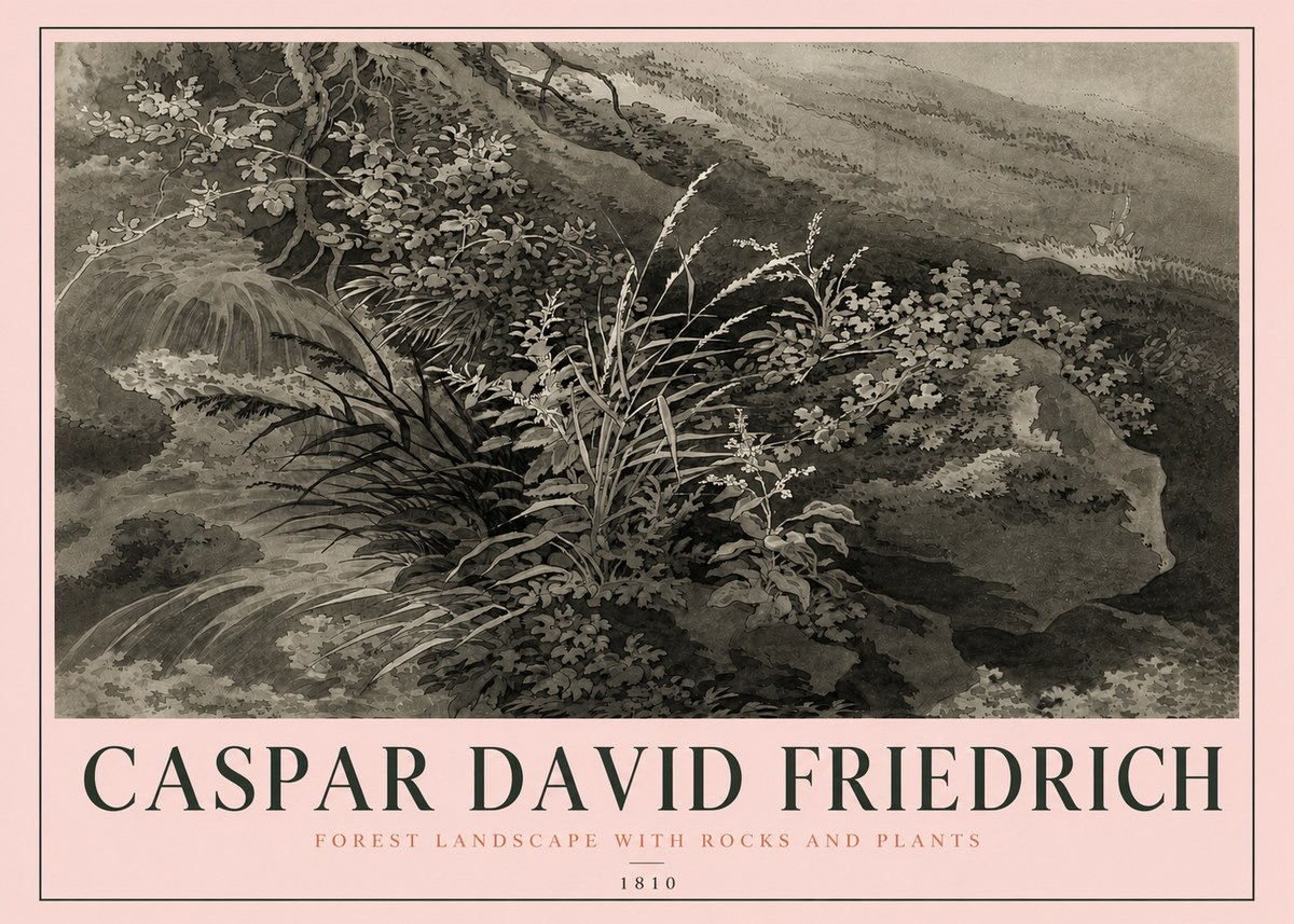 Caspar David Friedrich Forest Landscape with Rocks and Plants No4 - Affiche
