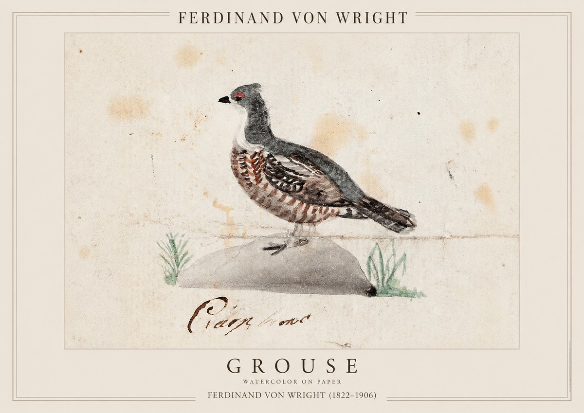 Ferdinand von Wright Grouse No1 - Affiche