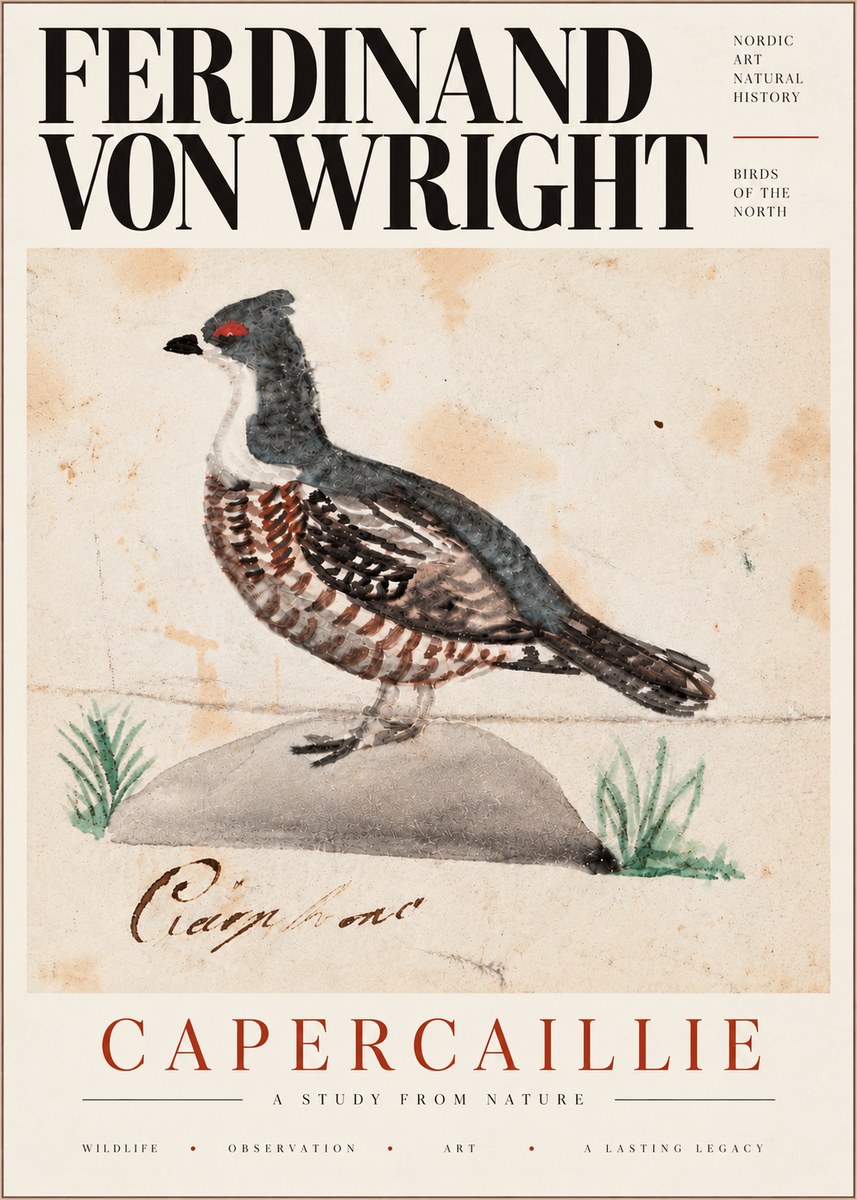 Ferdinand von Wright Grouse No6 - Affiche