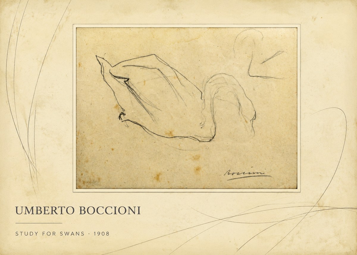 Umberto Boccioni Study for Swans No2 - Affiche