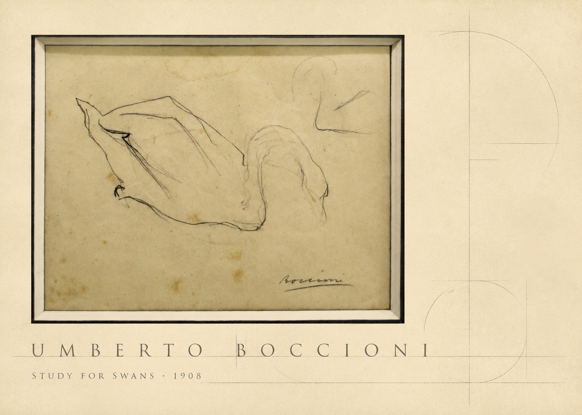 Umberto Boccioni Study for Swans No4 - Affiche