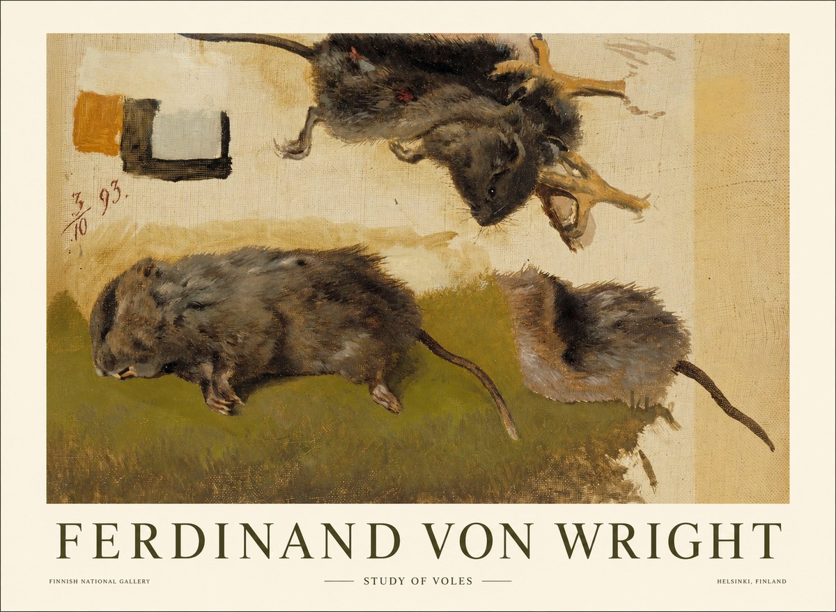 Ferdinand von Wright Studies of Lemmings No2 - Affiche