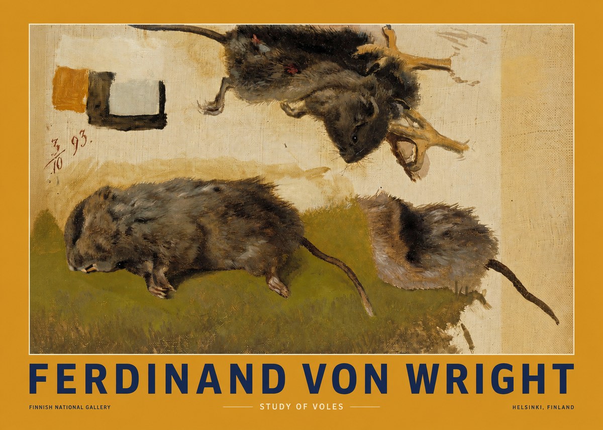 Ferdinand von Wright Studies of Lemmings No3 - Affiche