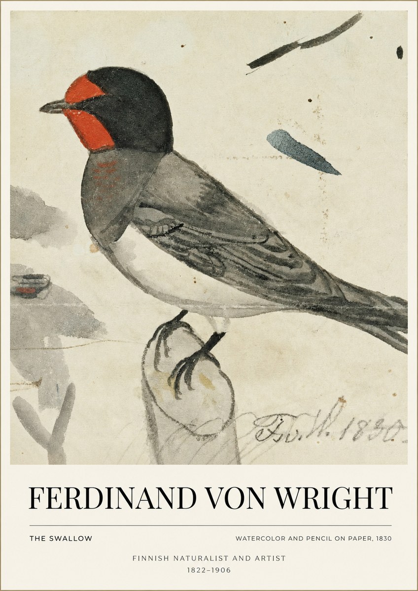 Ferdinand von Wright The Swallow No1 - Affiche