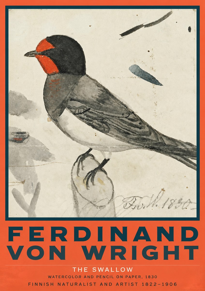 Ferdinand von Wright The Swallow No2 - Affiche
