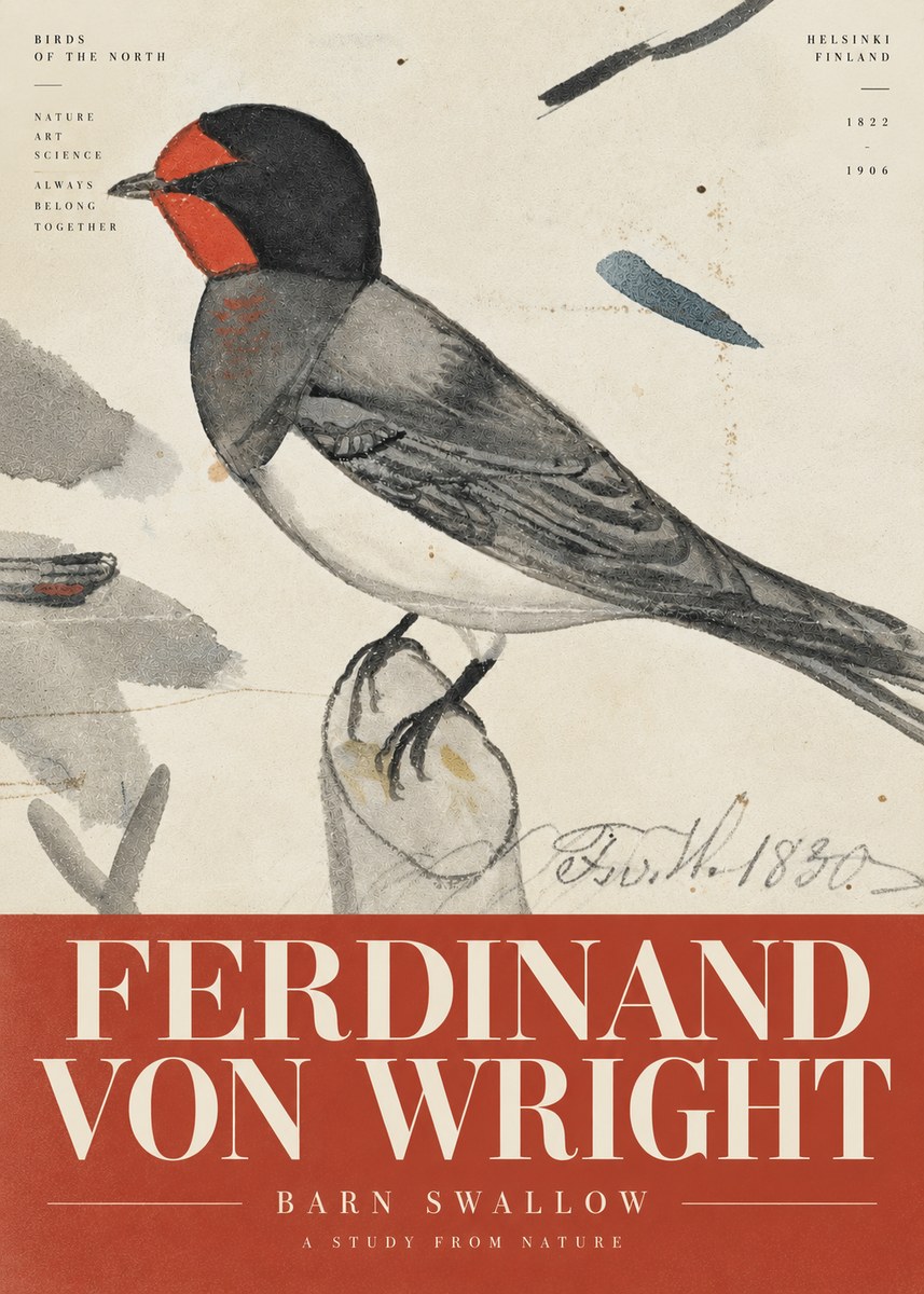Ferdinand von Wright The Swallow No6 - Affiche