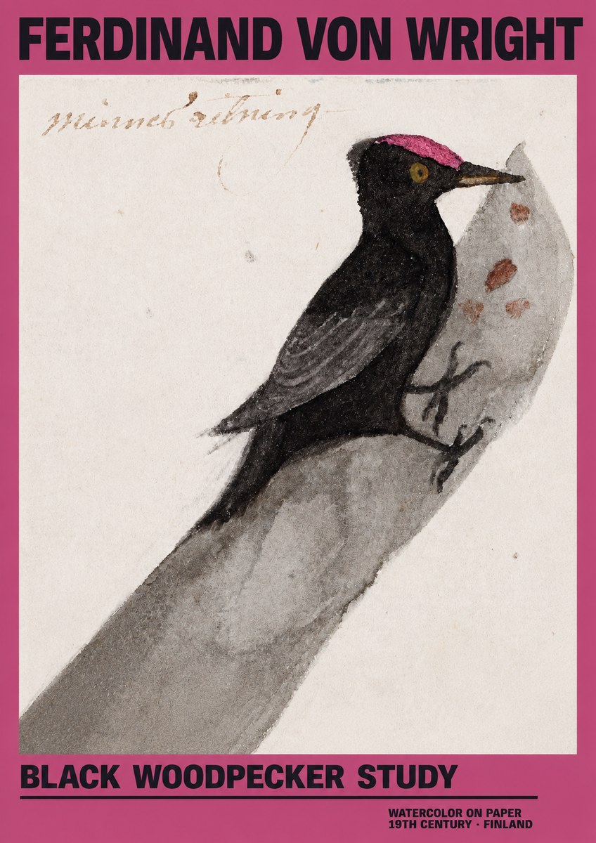 Ferdinand von Wright Black Woodpecker Study No2 - Affiche