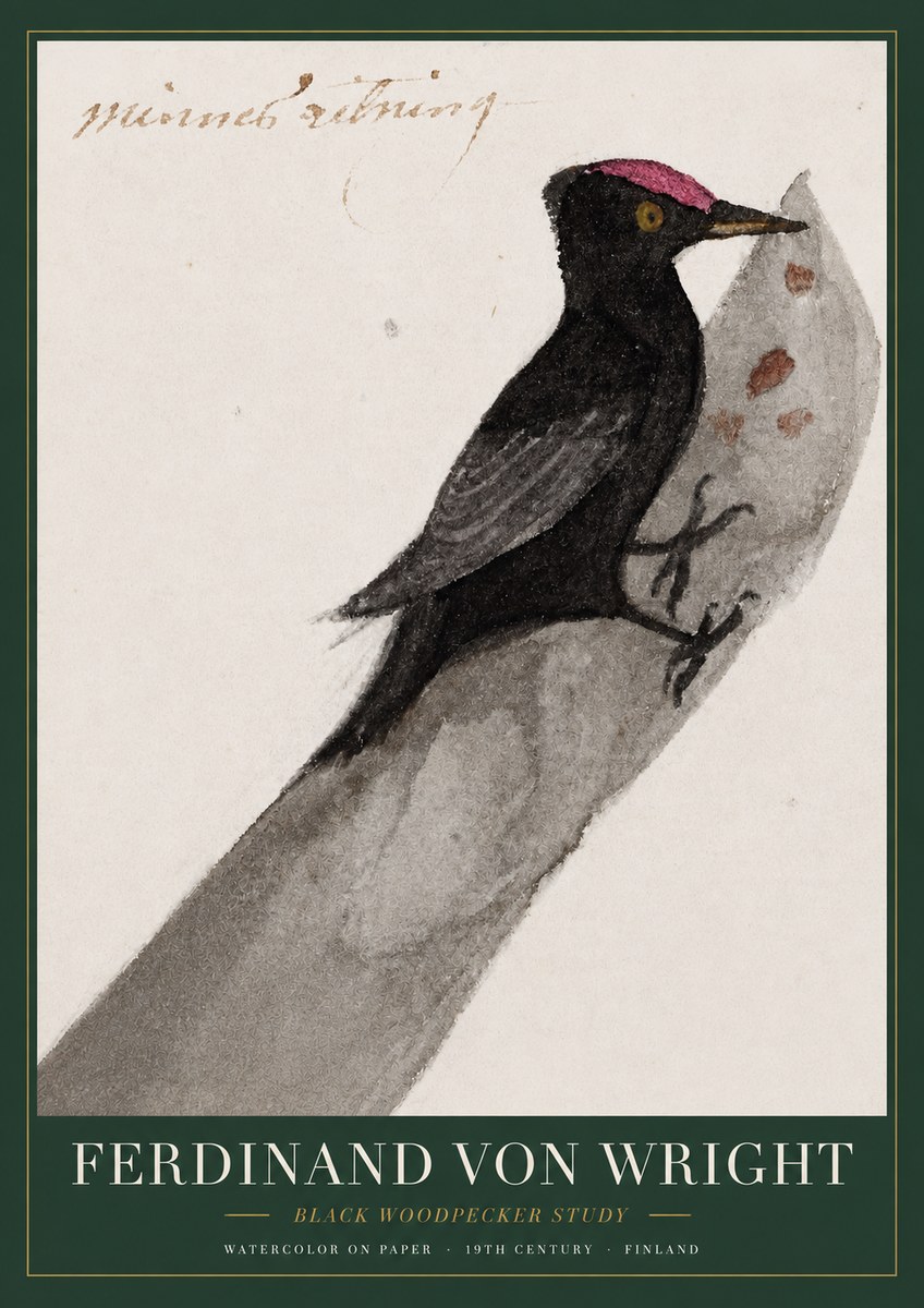Ferdinand von Wright Black Woodpecker Study No3 - Affiche