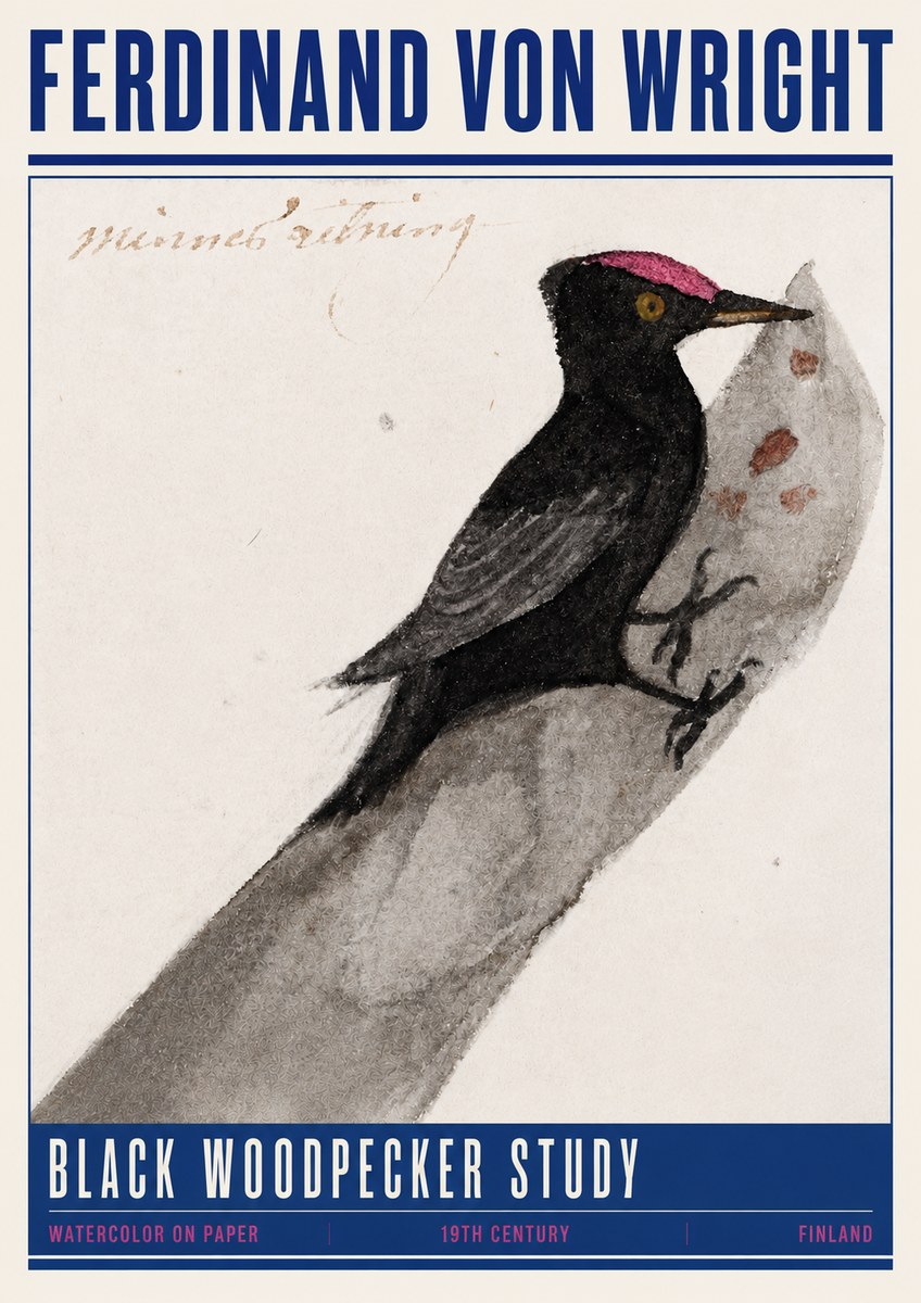 Ferdinand von Wright Black Woodpecker Study No4 - Affiche