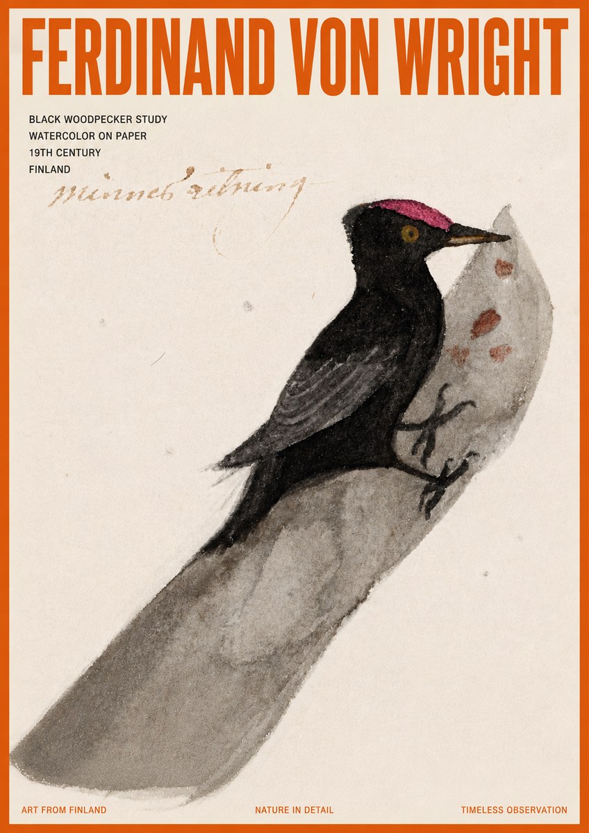 Ferdinand von Wright Black Woodpecker Study No5 - Affiche