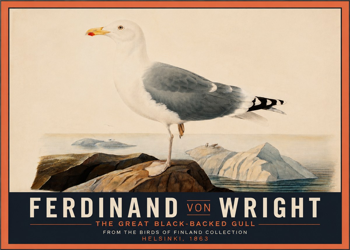 Ferdinand von Wright The Great Black-backed Gull No4 - Affiche