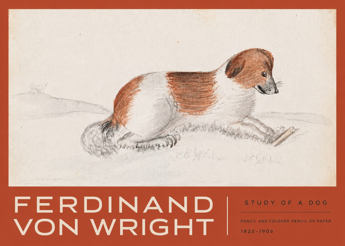 Ferdinand von Wright Study of a Dog No3 - Affiche