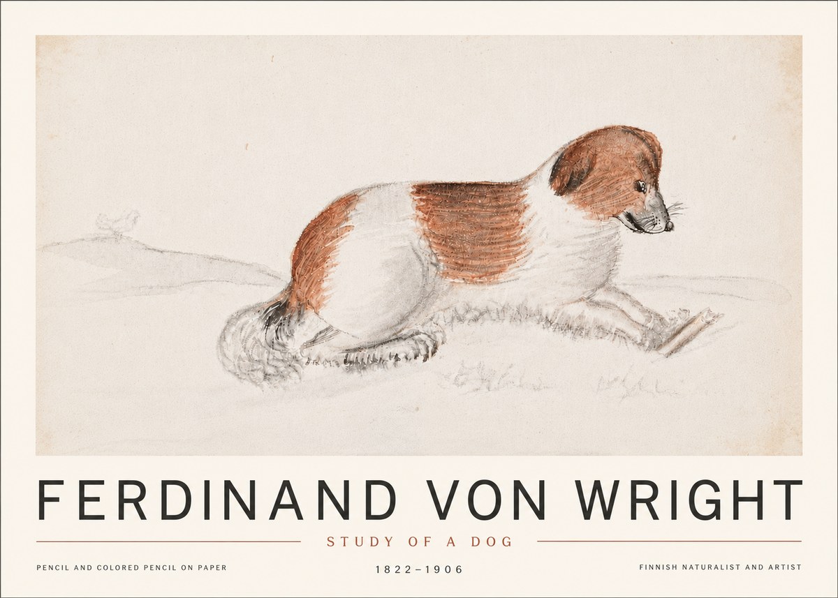 Ferdinand von Wright Study of a Dog No6 - Affiche