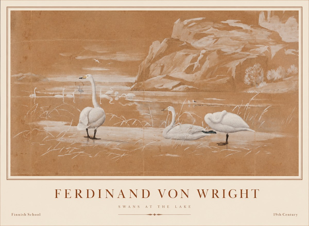 Ferdinand von Wright Swans at the Lake No1 - Affiche