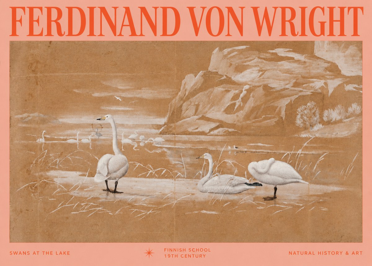 Ferdinand von Wright Swans at the Lake No2 - Affiche