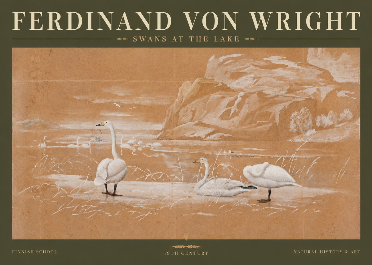 Ferdinand von Wright Swans at the Lake No3 - Affiche
