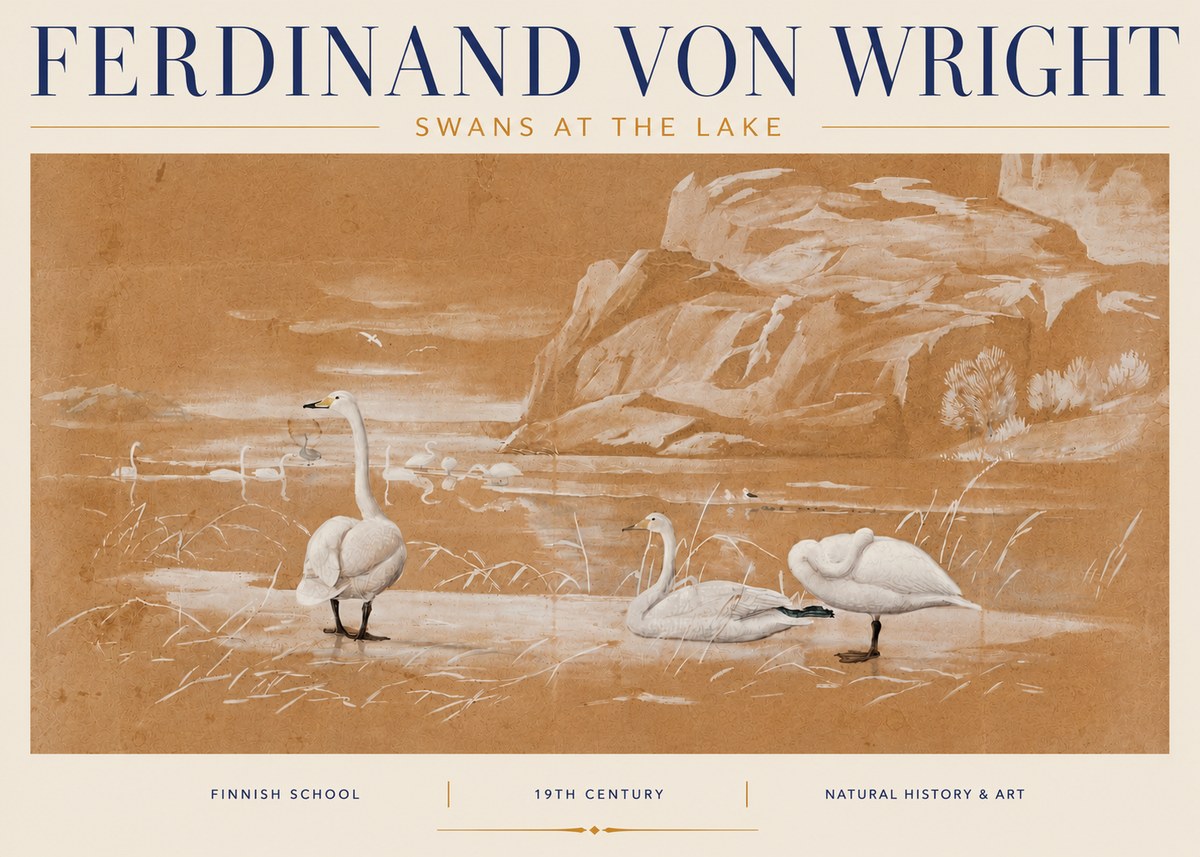 Ferdinand von Wright Swans at the Lake No4 - Affiche