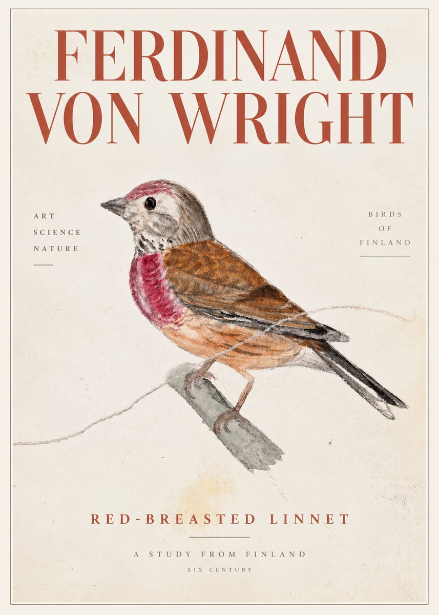 Ferdinand von Wright Bird Study No5 - Affiche