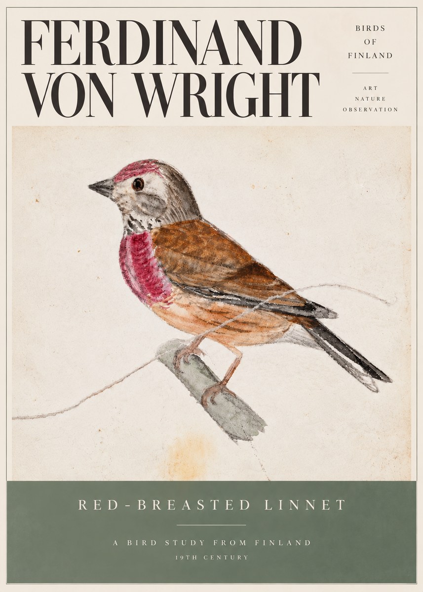 Ferdinand von Wright Bird Study No6 - Affiche